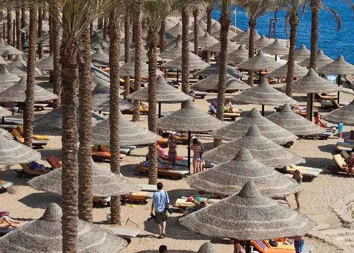 The Grand Sheikh Resort 5*