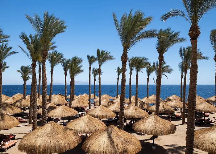 Resort The Grand Sheikh