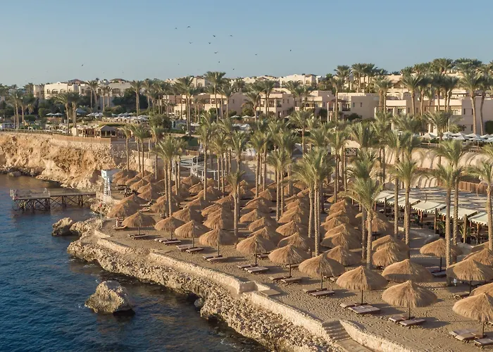 Resort The Grand Sheikh