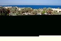 Resort The Grand Sheikh